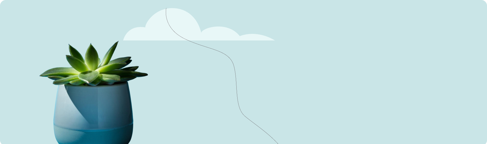 متجر الفطيم للنباتات